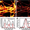 High spatiotemporal super-resolution imaging achieved by Xi group in COE
