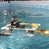The International Underwater Robot Competition established by Professor Guangming Xie successfully held in Beijing