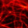 STED Super-resolution Optical Microscopy realized