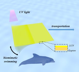 Haifeng Yu’ group makes progress in light-driven biomimetic field by compositing liquid crystal materials and polymers