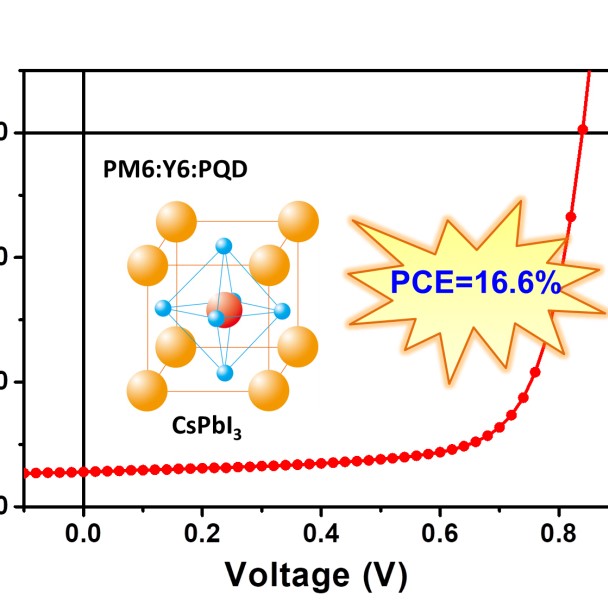 Xiaowei Zhan’s group used perovskite quantum dots to 