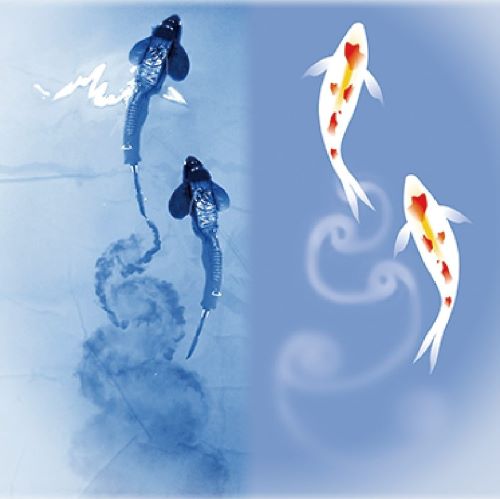 A breakthrough of the mechanism of energy saving in collective swimming