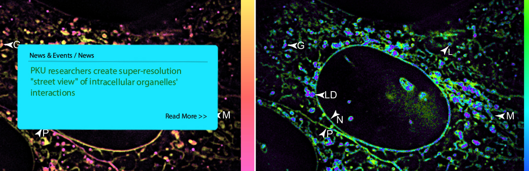 PKU researchers create super-resolution 